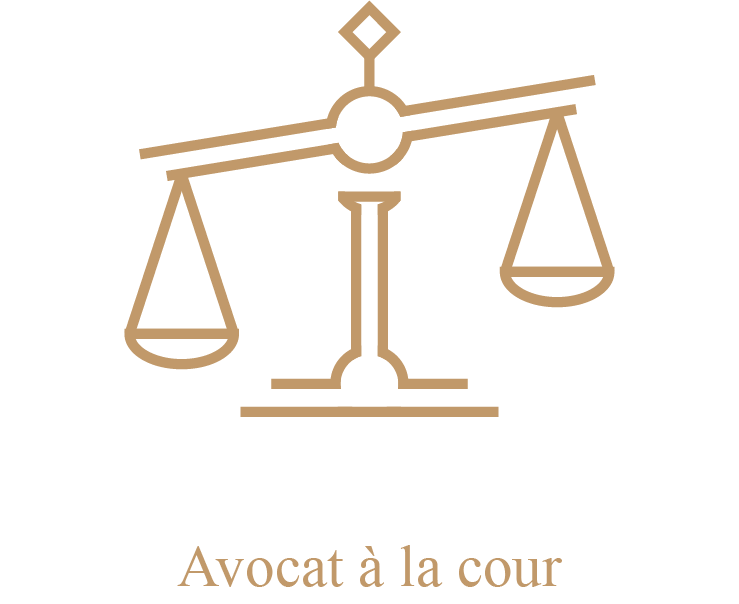 Logo Maître Driguez, avocat à Paris 8